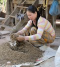 Cambodian woman makes fertilizer