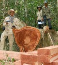 wood