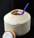 coconuy