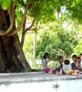 Life is free under the Tamarind Tree