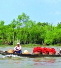 1024px-Mekong_Delta_Vietnam(1)