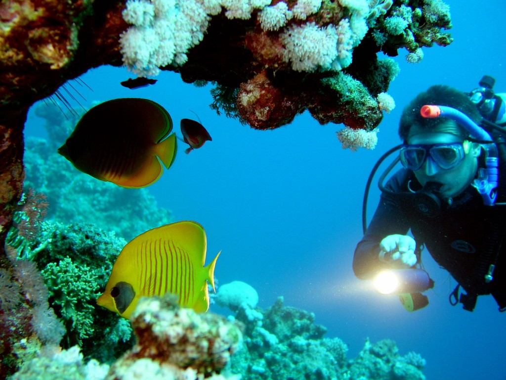 puerto_rico_scuba_diving_3