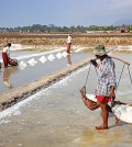 Salty near Kampot