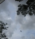 프놈펜에 착륙하려는 비행기