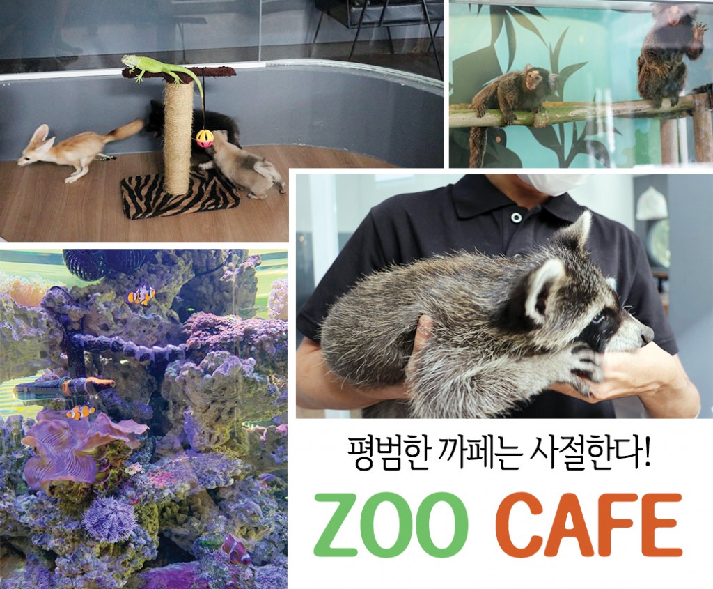 zoocafe