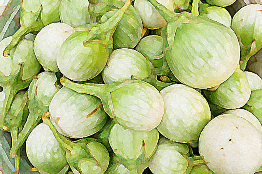 Solanum xanthocarpum Schrad. & Wendl