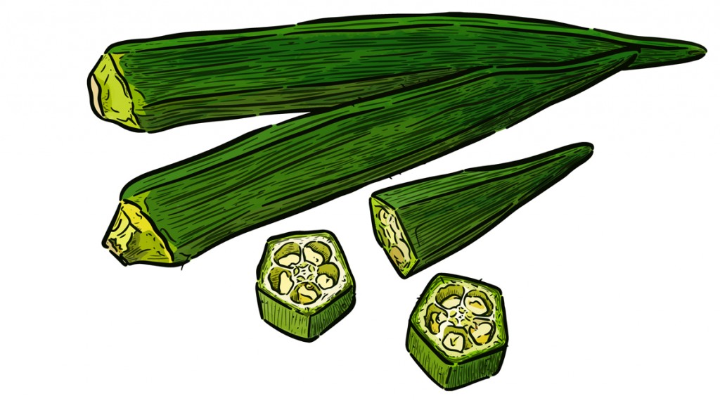 Okra, Hand draw sketch vector. Vegetable