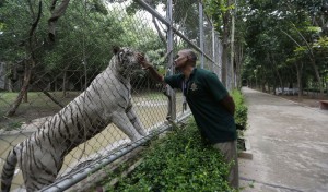 General manager Satavuth TemTup at Phnom Penh Safari. KT/Siv Channa