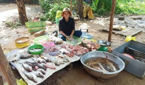Fish seller in Kampong Cham province. Moeun Chhean Nariddh