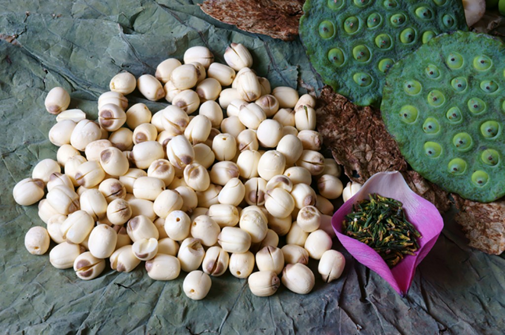 Collection lotus flower, seed, tea, healthy food