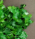 Composition of green coriander leaves and fresh vegetables