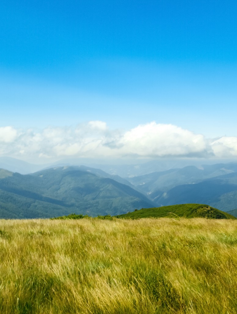 Wonderful landscape of Ukrainian Carpathian mountains.