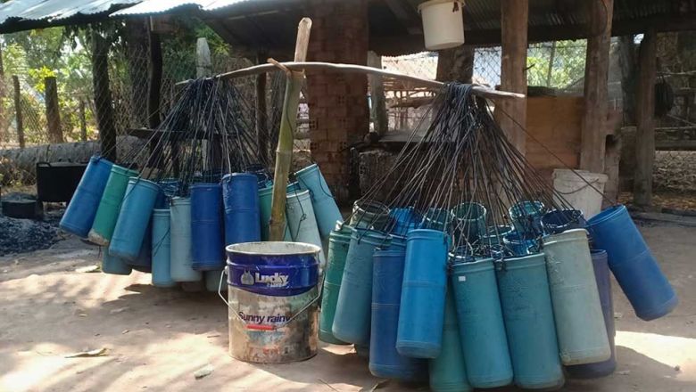 buckets_used_to_collect_sap_from_palm_trees_in_kampong_speu_province._suppiled