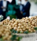 cambodian_longan_-_a_type_of_soapberry_similar_to_the_lychee_and_rambutan_-_was_authorised_last_year_for_direct_export_to_china_in_fresh_form._heng_chivoan