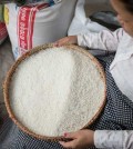 the_kingdom_exported_192495_tonnes_of_milled_rice_in_the_first_four_months_of_this_year_down_by_35.89_per_cent_year-on-year._post_staff_0