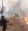 14_1_2024_fire_destroys_2ha_of_forest_in_takeo_province_s_kaoh_andaet_district_recently_wildlife_alliance_cambodia