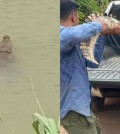 Beast-of-Battambang-captured-by-police