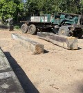 22_6_2024_some_of_the_seized_illegally_felled_and_milled_timber_is_loaded_into_a_truck_by_the_authorities_tan_kimsour