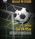 Realistic South poster template 3