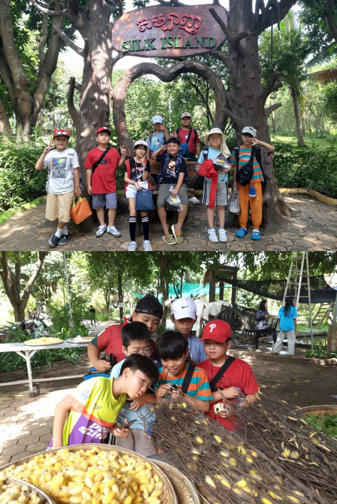 한국국제학교 누에