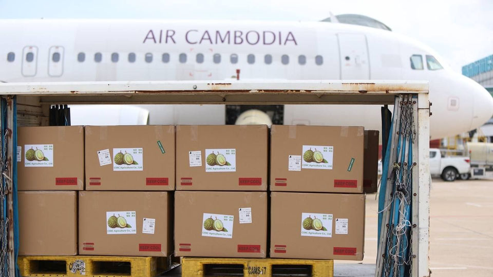 image_2025-08-12_16-54-58.2e16d0ba.fill-960x540