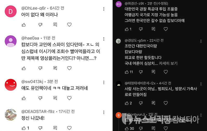 까로나악플-2