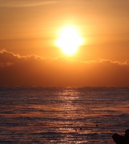 희망찬 한 해가 되기를