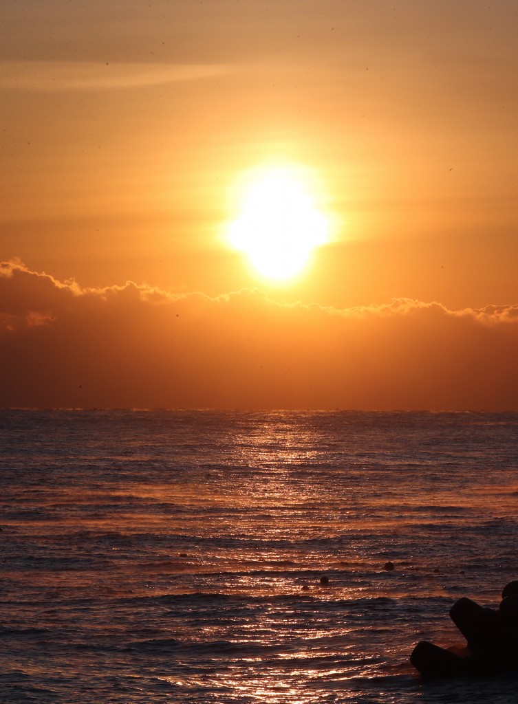 희망찬 한 해가 되기를