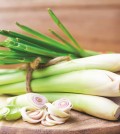 레몬그라스