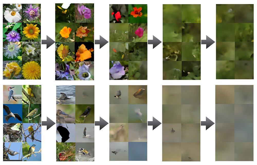 모델붕괴의 예시