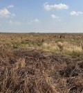 IMG_4873.2e16d0ba.fill-960x540
