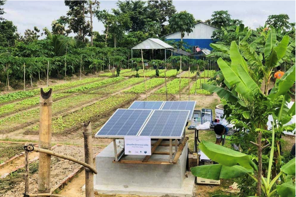 Solar Farm1-1